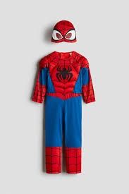 Spider Hero Costume (Extra Large)