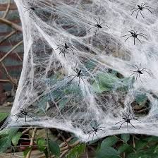 Stretchable Spider Webs