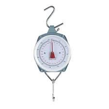 50kg Hanging Scale