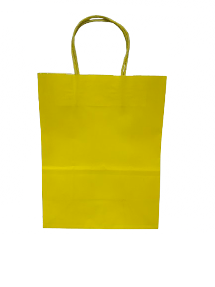 26.5cmx21cm Medium Gift Bags (Colors Vary)