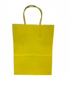 26.5cmx21cm Medium Gift Bags (Colors Vary)