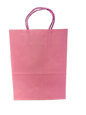 26.5cmx21cm Medium Gift Bags (Colors Vary)