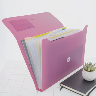 13pkt Expanding File A4/Letter