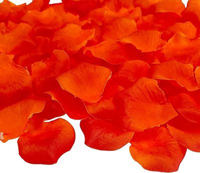 Pack of Orange Petals