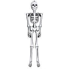 6ft Halloween Inflatable Skeleton