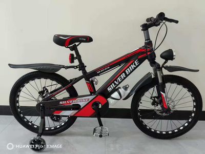 20&quot; Silver Line Mountain Bike
