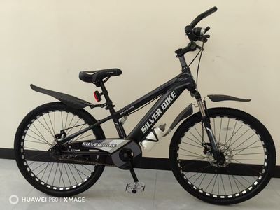 24&quot; Silver Line Mountain Bicycle