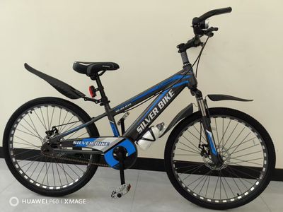 24" Silver Line Mountain Bicycle