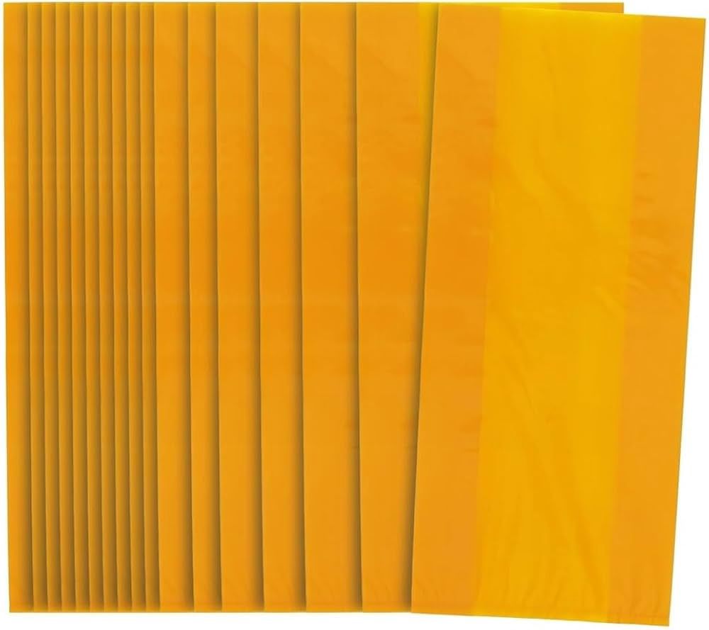 30pcs Orange Cellophane Gift Bags with Ties