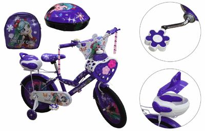 16" Pretty Girls Bicycle (Accessories)