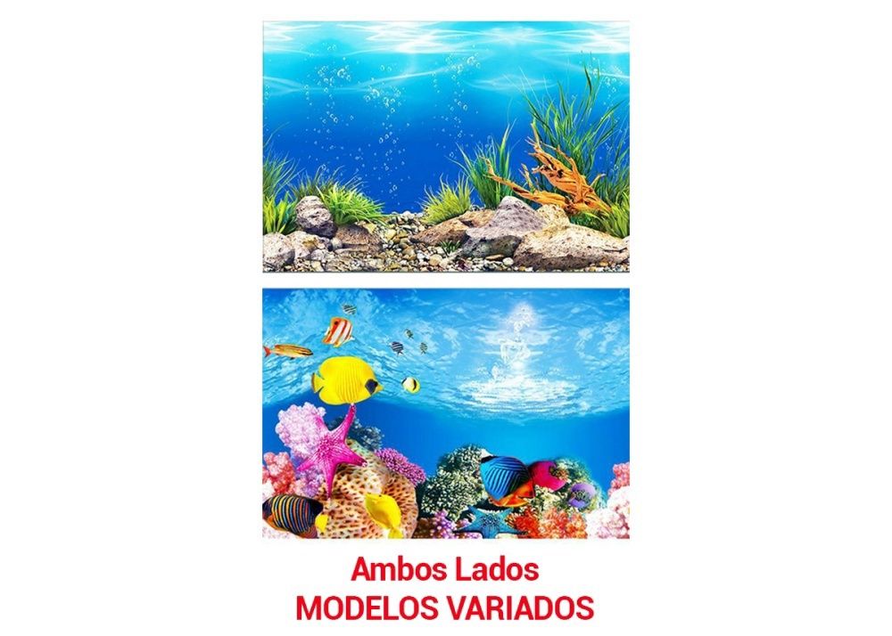Fish Aquarium Background