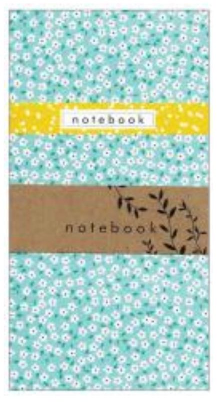 Little notebooks