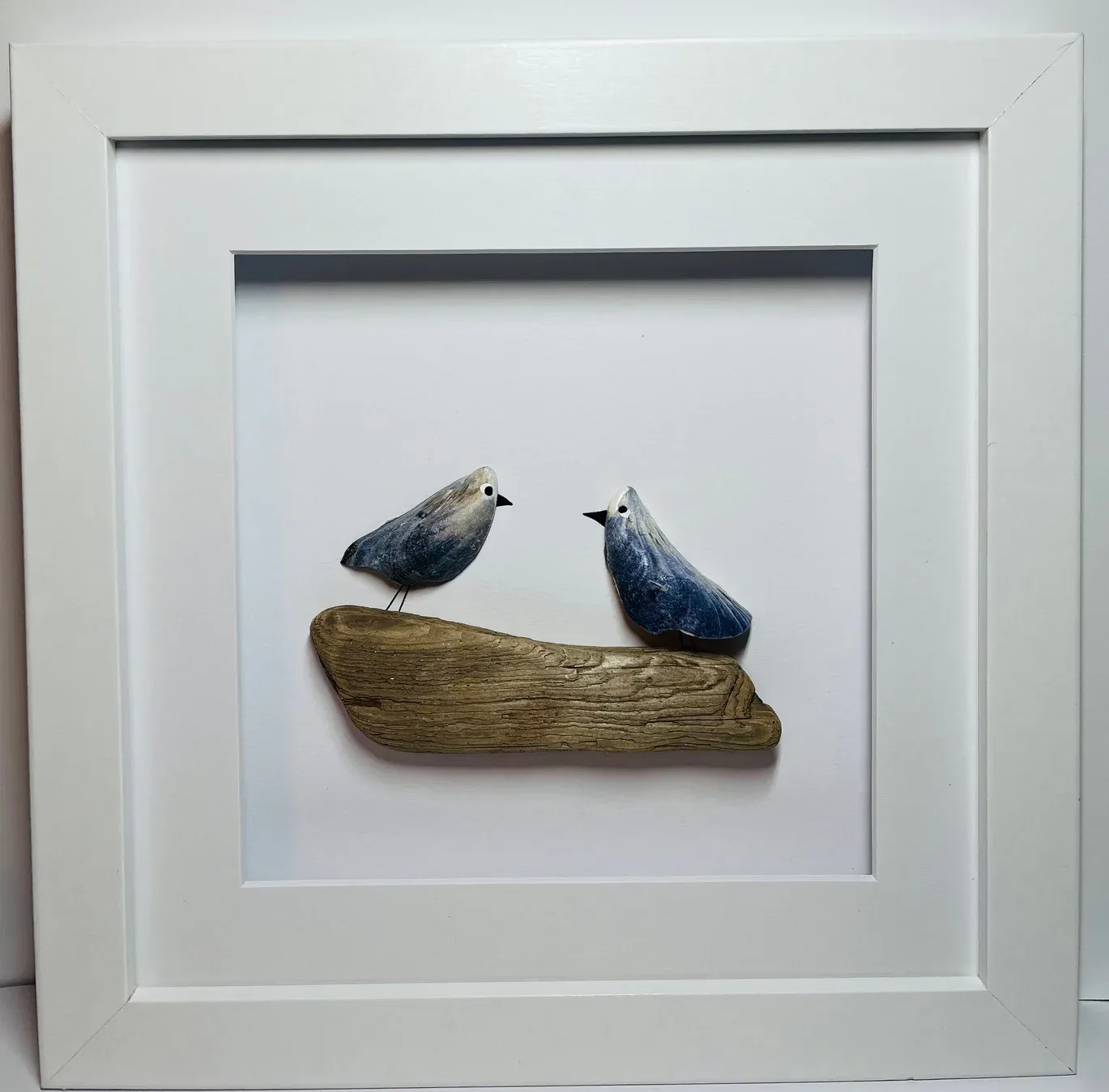 Mussel Shell Gull Picture, Size: Small