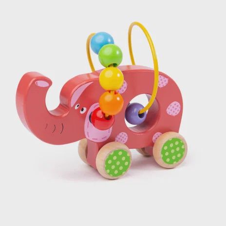 Push Along Toy