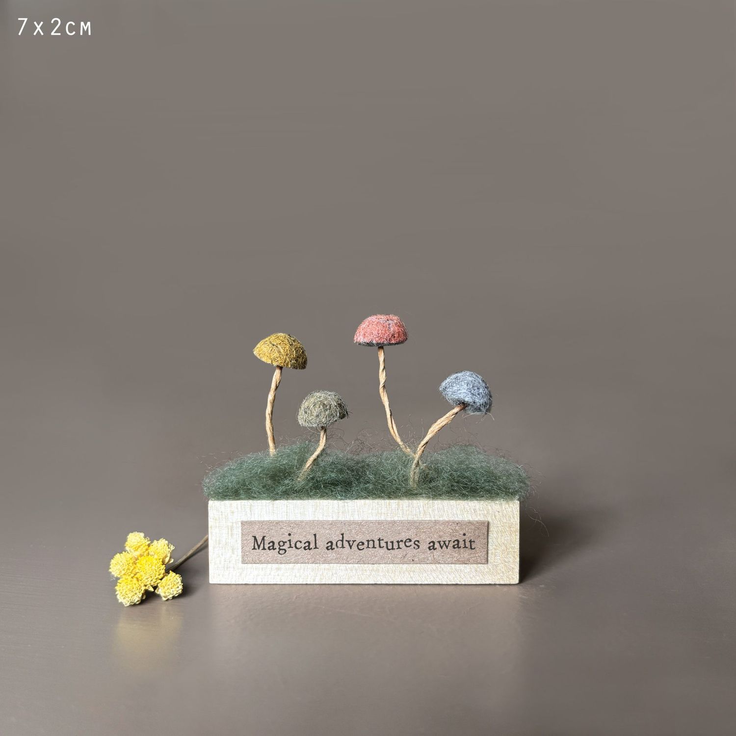 Mushroom Block, type: Magical Adventures Await