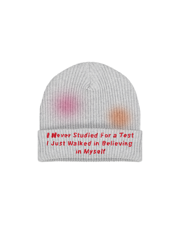Studied For A Test Beanie