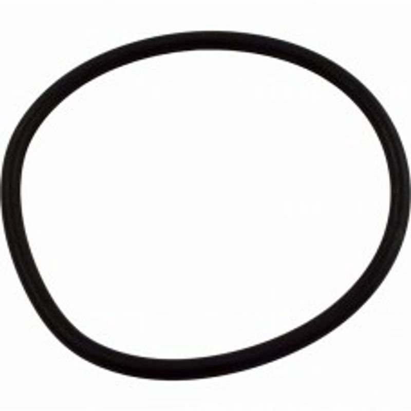 Valve Head O-Ring for Waterway Carefree Sand Filter