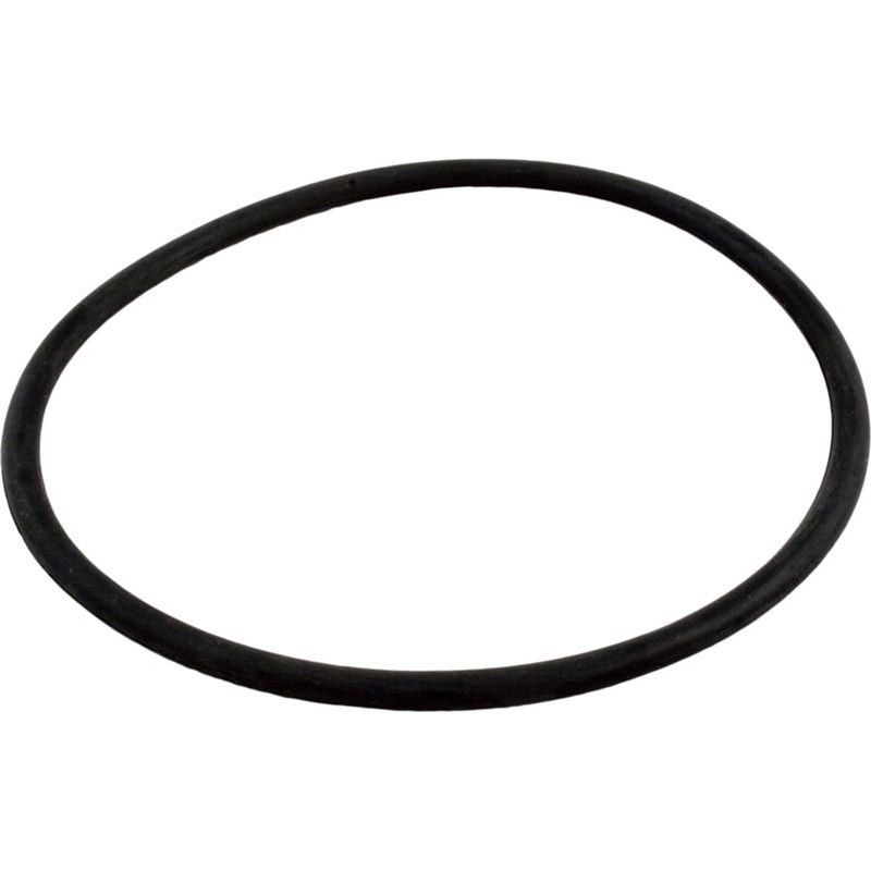Waterway 6" Lid O-ring