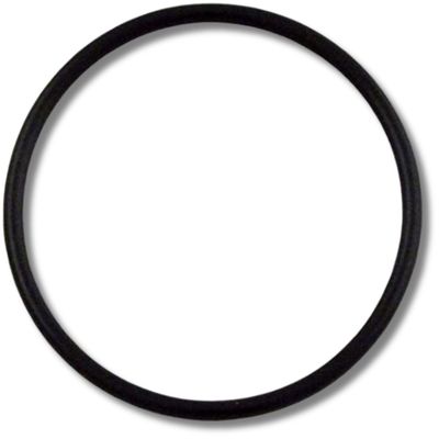 O-Ring 2 In. Union