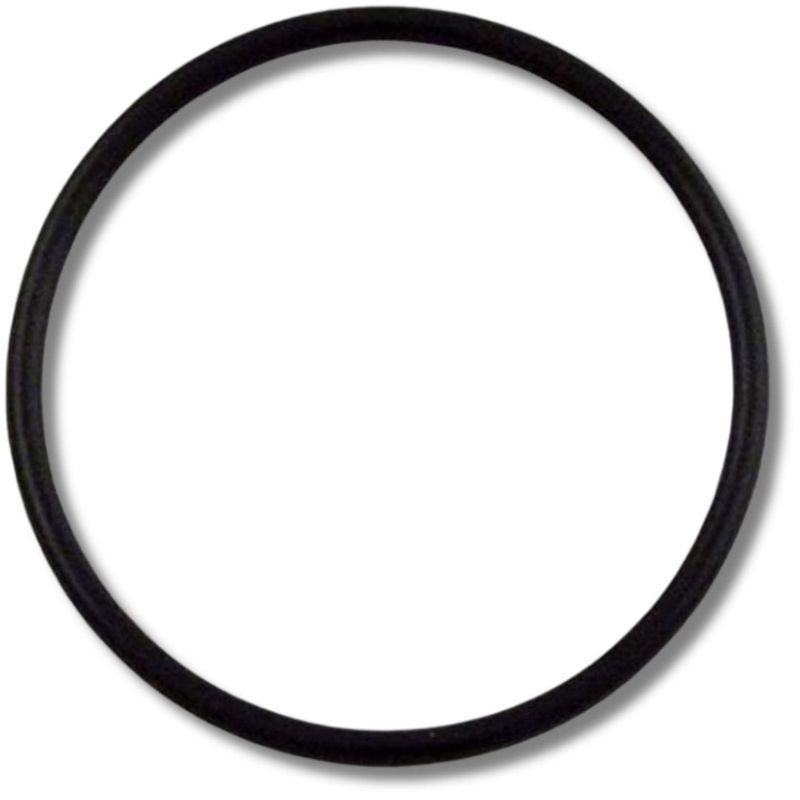 O-Ring 2 In. Union