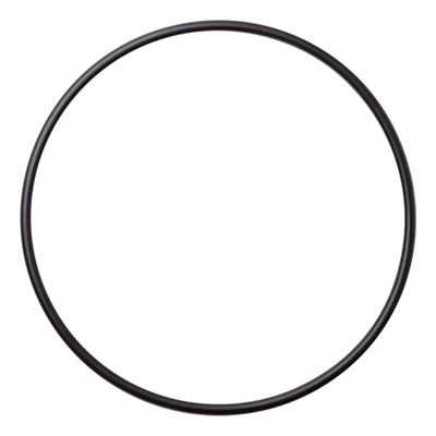 Waterway Plastics 805-0261 Executive Pump Faceplate O-Ring