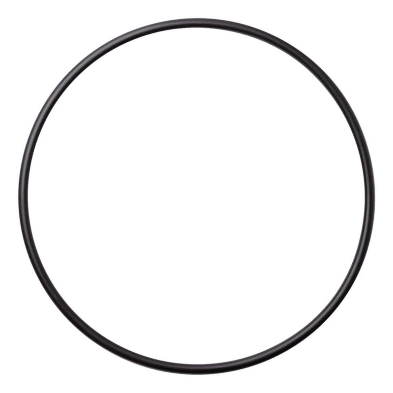 Waterway Plastics 805-0261 Executive Pump Faceplate O-Ring