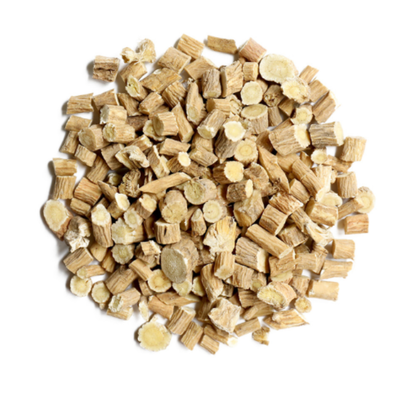 Astragalus