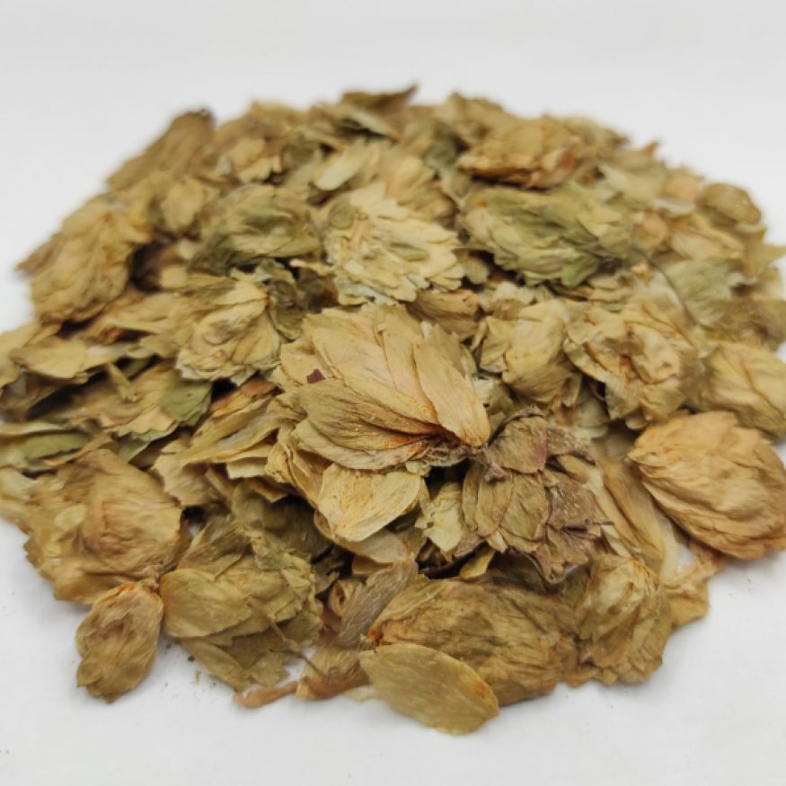Hops Flower