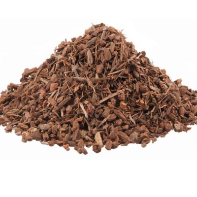 Black Walnut Bark