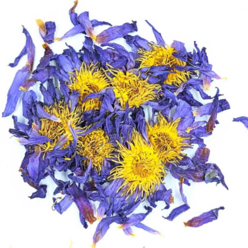 Blue Lotus Petal