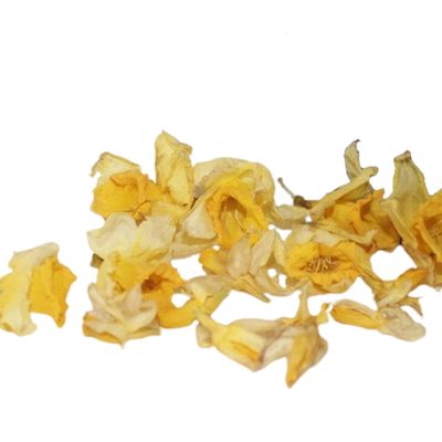 Daffodil
