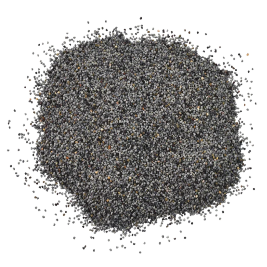 Poppy Seed