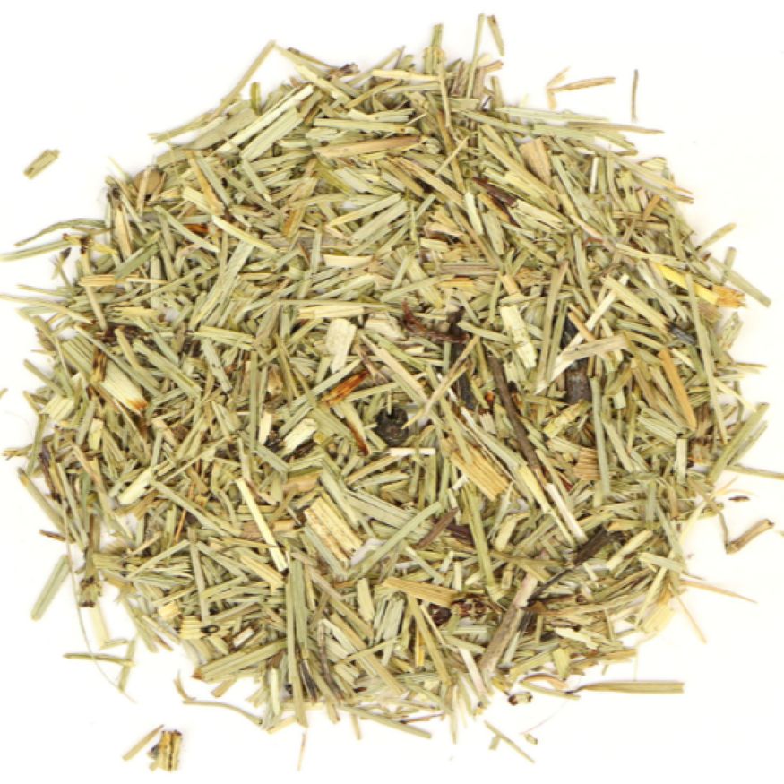 Horse Tail (Shave Grass)