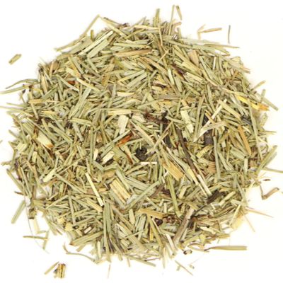 Horse Tail (Shave Grass)