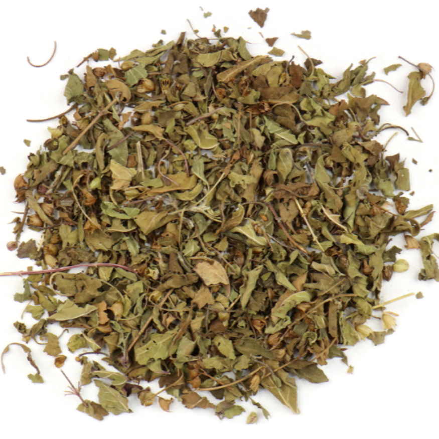 Holy Basil