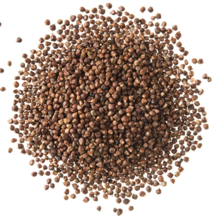 Grains of Paradise