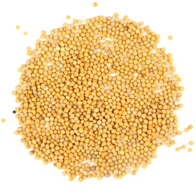 Mustard Seed