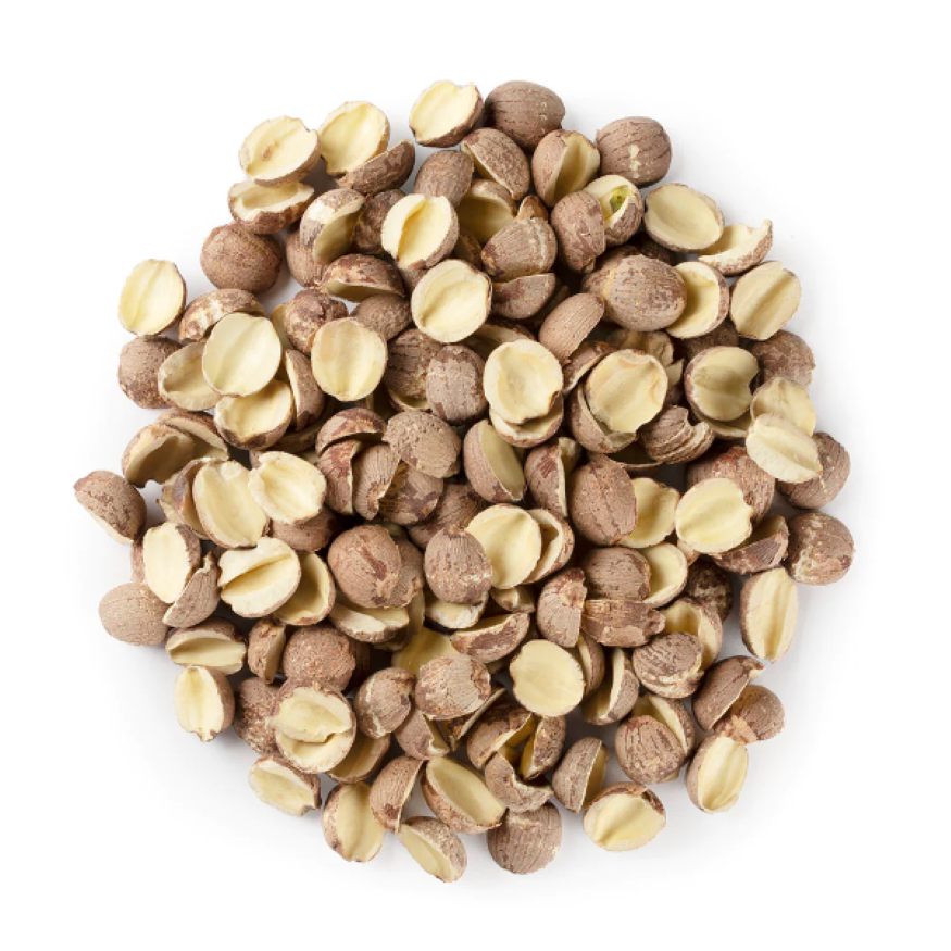 Lotus Seed