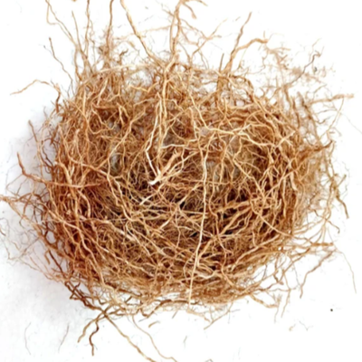 Vetiver
