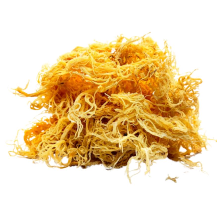 Sea Moss