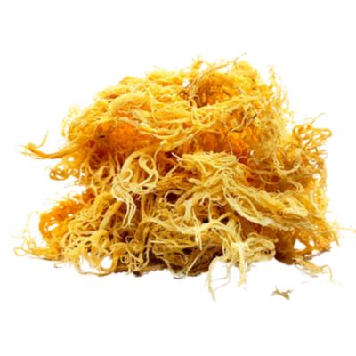 Sea Moss