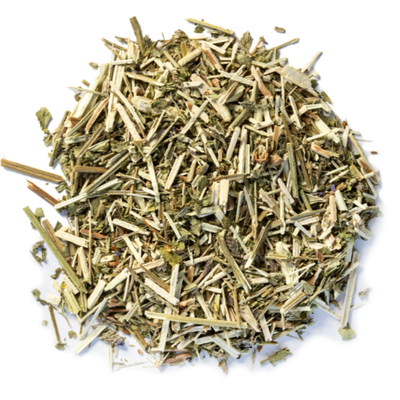 Vervain