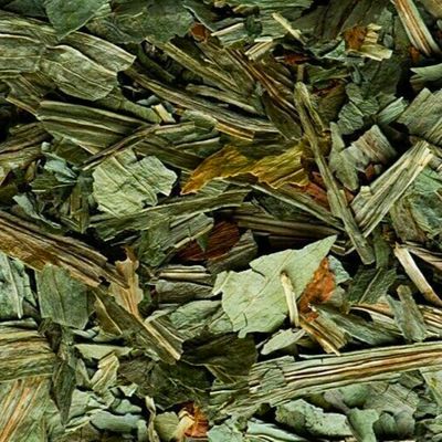 Digitalis (Foxglove)