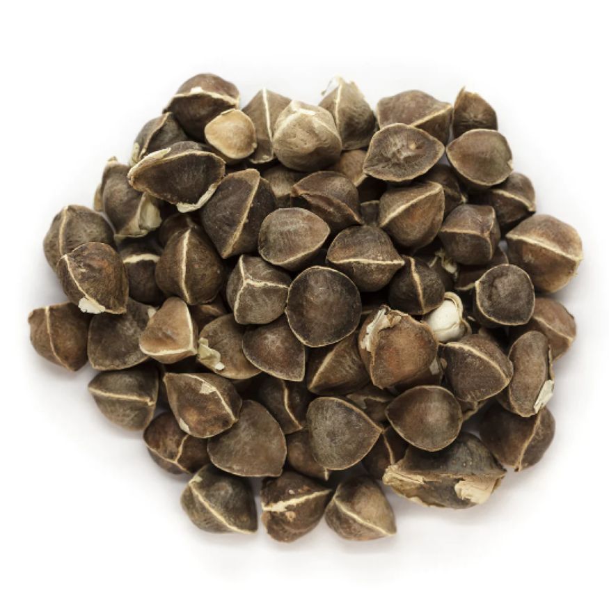 Moringa