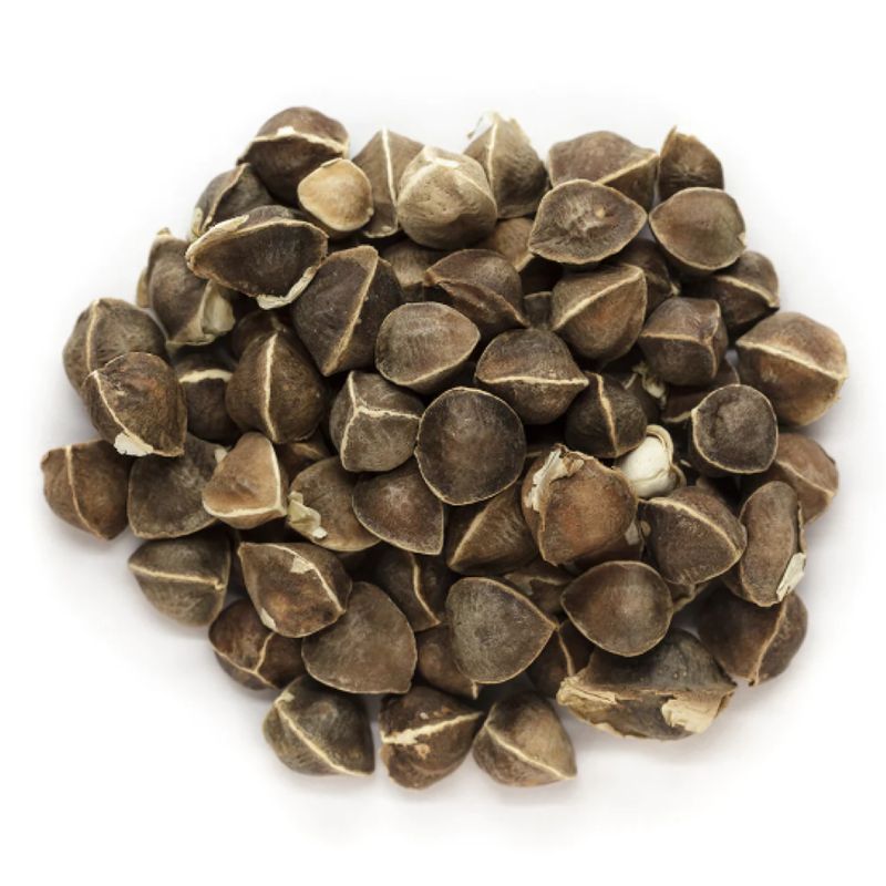 Moringa