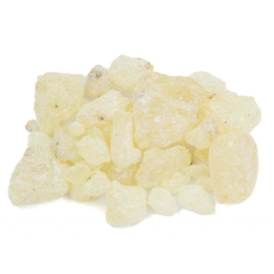 Dammar Gum (White)