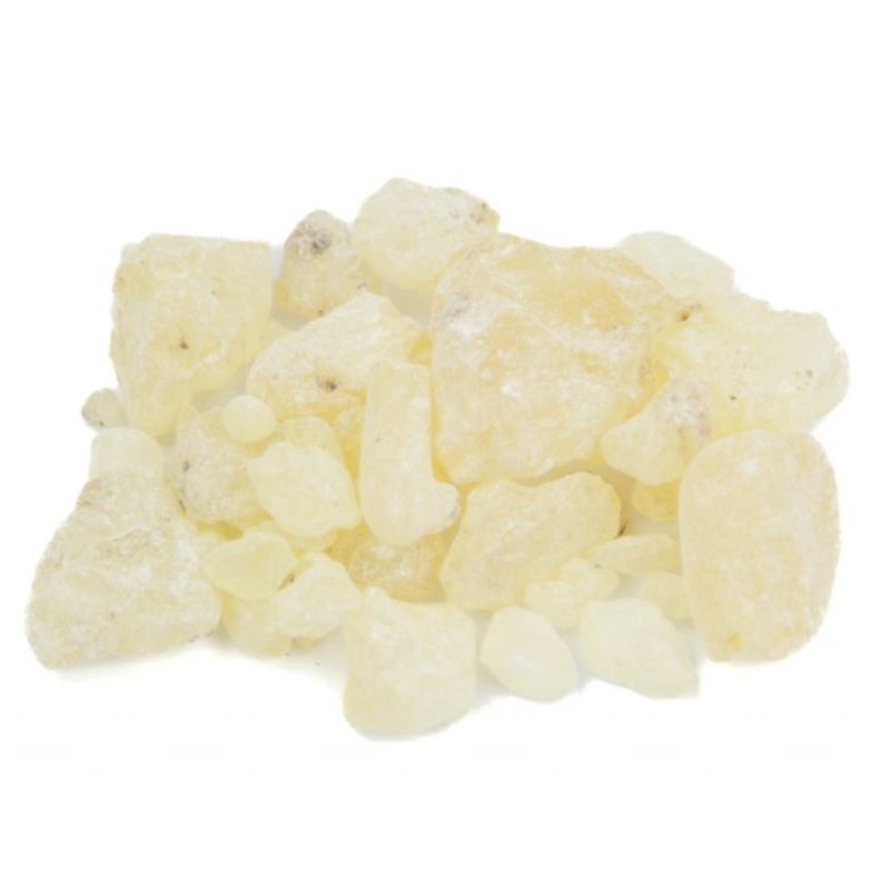 Dammar Gum (White)