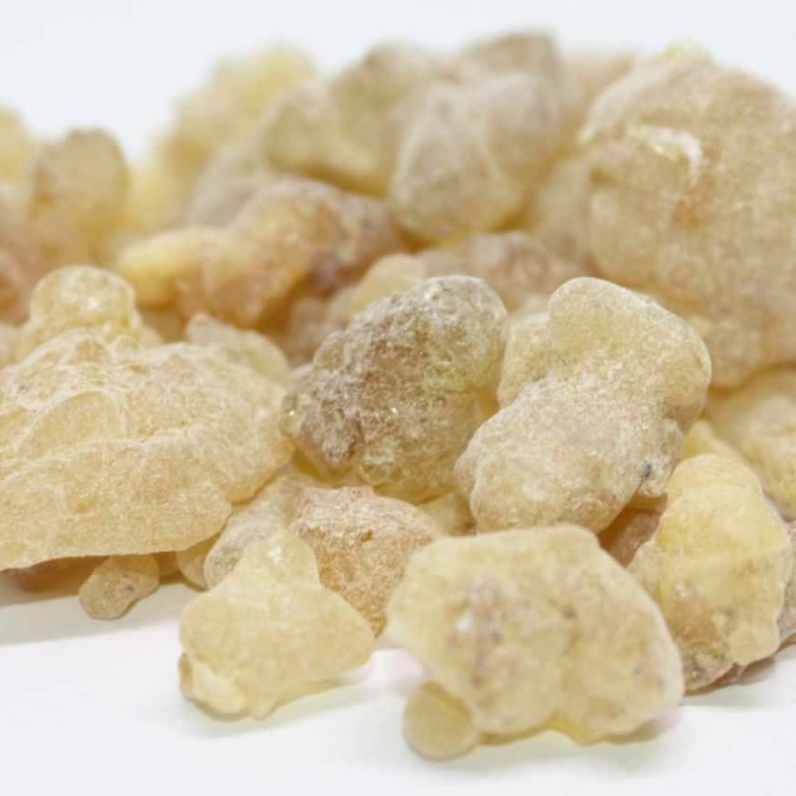 Frankincense - Papyrifera