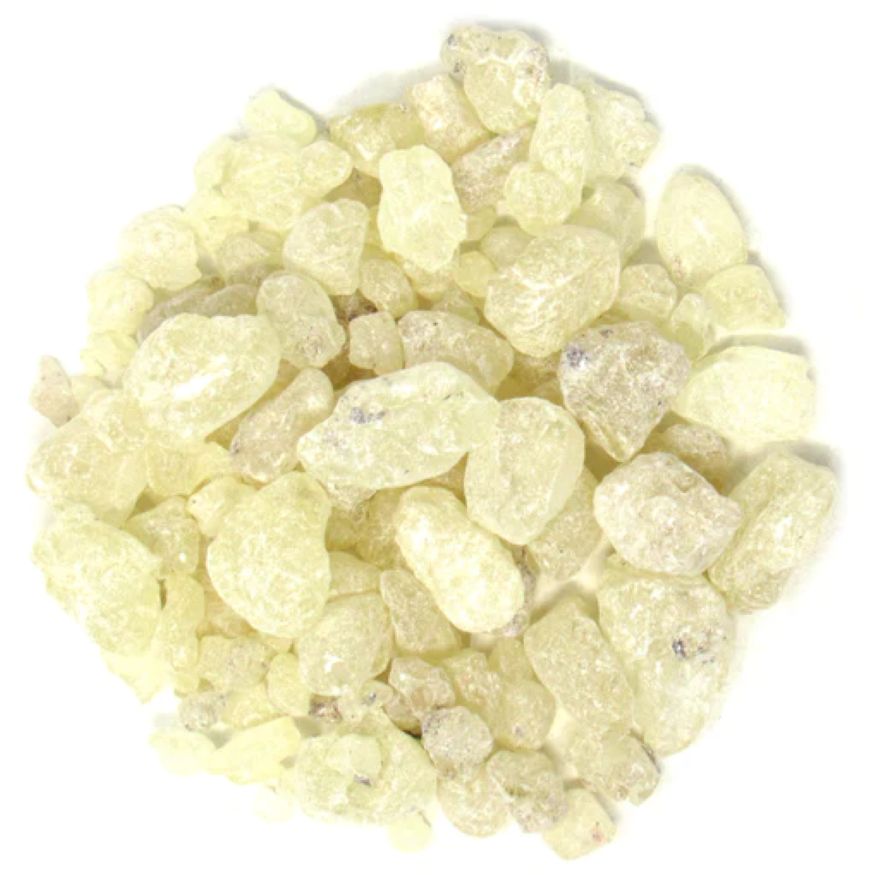 Copal (House)