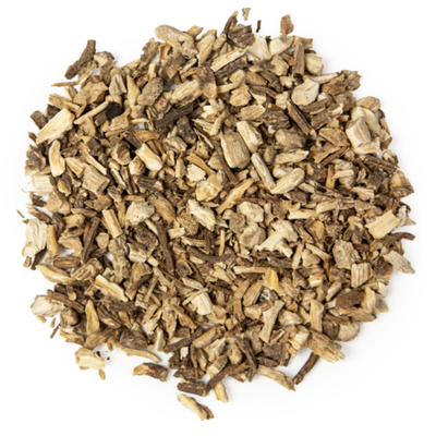 Angelica Root